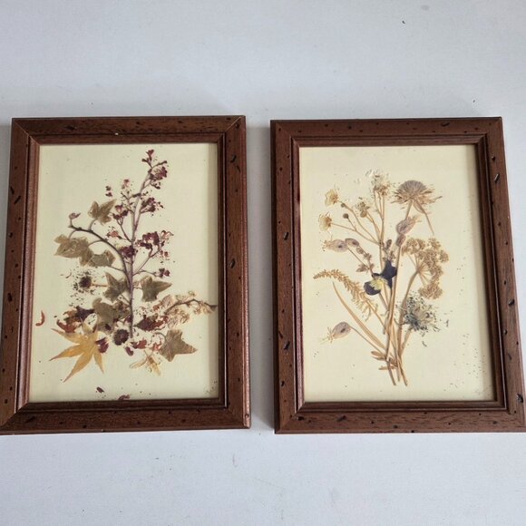 Set of 2 handmade pressed flowers arrangement art. - Picture 1 of 5